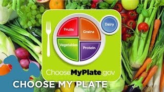 Choose My Plate Dietary Guidelines [upl. by Frasquito]