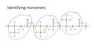 PPS07  Identifying monomers from condensation polymers [upl. by Elbas]