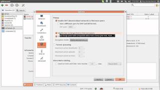 qBittorrent options [upl. by Tocci877]