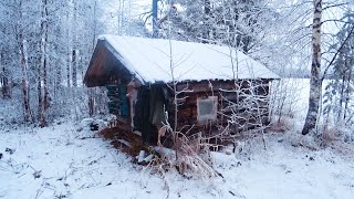 Livе Alone in the Forest Off Grid cabin Found an abandoned tiny house in the woods [upl. by Grantley713]