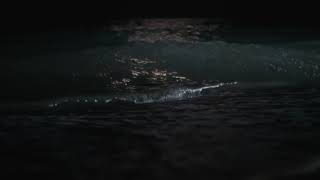 Bellissimo rumore delle onde del mare di notte al chiaro di Luna per dormire profondamente  ASMR [upl. by Hymie]