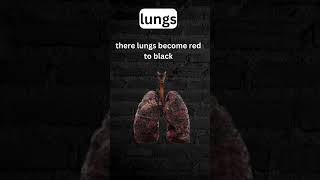 human lungs foryou iscience shortsviral sciencespeaks [upl. by Atiana]