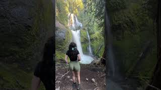 Beautiful waterfall in Oregon youtubeshorts nature beautifuldestinations viralvideo [upl. by Eisset426]