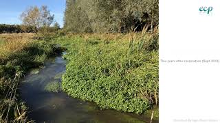 Stratford Bridge River Glyme River Restoration [upl. by Adnov]