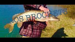 Pêche du brochet 2015Gopro HD [upl. by Cosma]