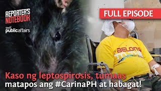 Kaso ng leptospirosis tumaas matapos ang CarinaPH at habagat Full Episode  Reporters Notebook [upl. by Skvorak]