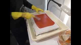 Photogravure Brush Sensitizing Process [upl. by Kliment216]