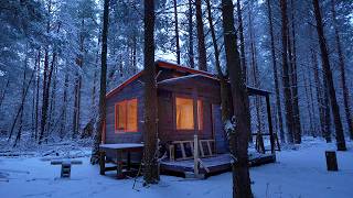 6 months building cabin in the woods off grid house start to finish [upl. by Sanfo769]