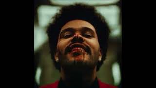 The Weeknd  Save your tears  beginning  looped [upl. by Griz]