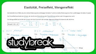 Elastizität Preiseffekt Mengeneffekt  Volkswirtschaftslehre [upl. by Cullie]