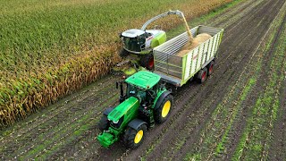 Maïs Silage 2024  Loonbedrijf Lamberink  Claas Jaguar  John Deere  Kaweco  4K [upl. by Neened]