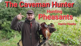 Hunting With Harris Hawks For Pheasants Pigeons And Brown hairs [upl. by Martyn424]