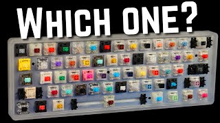 How to Choose the Perfect Switch For YOU [upl. by Emawk]