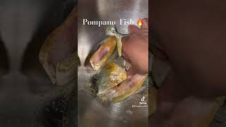 Pompano Fish is delicious 😋 viralshort pompano pompanobeach healthylifestyle [upl. by Riva]