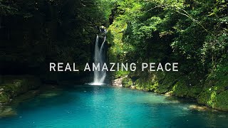 REAL AMAZING PEACE  VISIT KOCHI JAPAN [upl. by Ecarg]