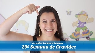 29ª Semana de gestação [upl. by Vardon]