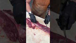 How To Remove Tenderloin Silverskin with the Silver Fox Butcher [upl. by Ahseym921]