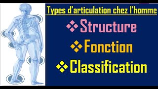 les articulations humain  Structure fonction classification [upl. by Georgianne417]