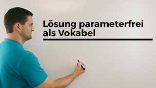 Lösung parameterfrei als Vokabel Funktionsscharen Scharfunktionen  Mathe by Daniel Jung [upl. by Hachmin]