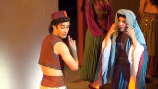 Video 42 of Aladdin A Musical Spectacular at DCA 82615 [upl. by Ednew615]