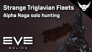 EVE Online  Alpha clone Solo Naga triglavian hunting strange fleets [upl. by Hildegarde]