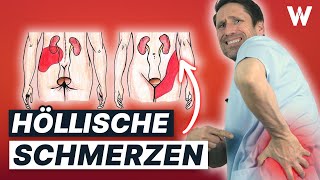 Nierensteine amp Koliken stoppen Typische Ursachen und 5 Tipps für Deine Nierengesundheit [upl. by Neille]