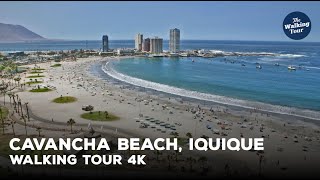 Walking Tour 4K  Cavancha Beach Iquique  Chile [upl. by Medlin]