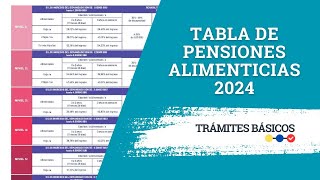 Tabla de Pensiones Alimenticias 2024 SUPA Ecuador [upl. by Ziladnerb737]