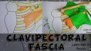 CLAVIPECTORAL FASCIA [upl. by Anetta]