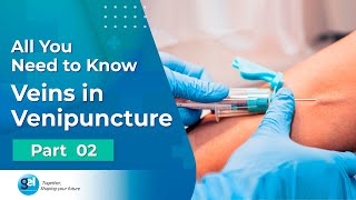 Anatomy of Phlebotomy I Venipuncture Procedure I Global Edulink [upl. by Estelle]