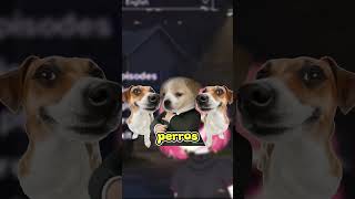 LOS PERROS clipscinnal vtuberclips fearstofathom miedo vtuber perros terrorgaming [upl. by Narag351]