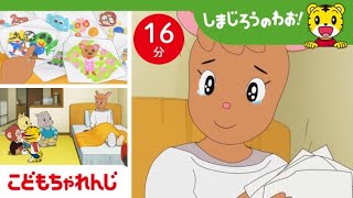 【16分アニメ】せんせいが ケガ しちゃった！ みんなでお見舞い  思いやり  しまじろうのわお！アニメ  しまじろうチャンネル公式 [upl. by Manley]