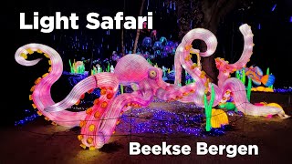 Light Safari in Beekse Bergen Light Festival in the Netherlands [upl. by Oigroeg]