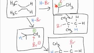 Electrophilic Addition of HX to Alkenes [upl. by Crofton]