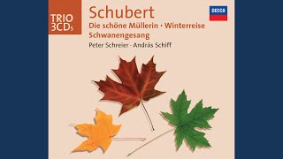 Schubert Die schöne Müllerin D795 18 Trockne Blumen [upl. by Vijar428]