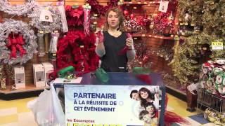 Comment fabriquer un poinsettia de Noël avec de la tulle [upl. by Aciretal]