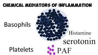 Chemical mediators of Inflammation [upl. by Bernard845]