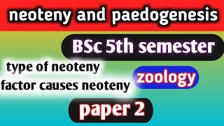 neoteny and paedogenesis bsc 5th semester zoologyneotenyandpaedogenesisneotenypaedogenesis [upl. by Reimer]