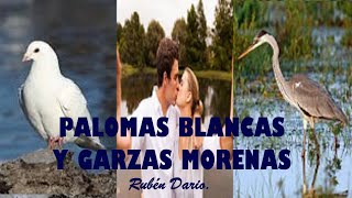 📘 PALOMAS BLANCAS Y GARZAS MORENAS  Rubén Darío audiolibro [upl. by Golter767]