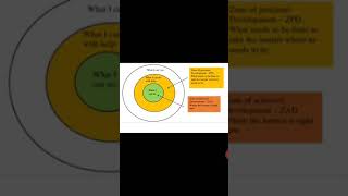 vygotsky social constructivist theory shorts vygotsky [upl. by Anemolihp]