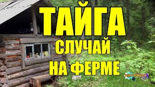 ОХОТА НА ТИГРА ЛЮДОЕДА  СЛУЧАЙ В ТАЙГЕ [upl. by Landing]