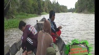 Mancing Mania di sungai Pedalaman Kalimantan Tengah Trailer [upl. by Karlotte]