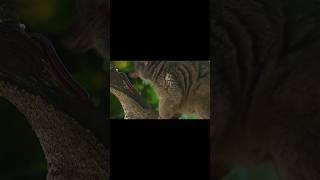 Lemurs get highfunfacts stonerreacts drugeducation [upl. by Neema]