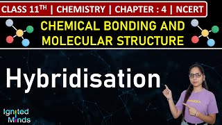 Class 11th Chemistry  Hybridisation  Chapter 4 Chemical Bonding amp Molecular Structure  NCERT [upl. by Aketahs]