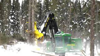 John Deere 903K Feller Buncher in Quetico [upl. by Lednam]