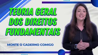 Teoria Geral dos Direitos Fundamentais  Direito Constitucional  Adriane Fauth [upl. by Masha]