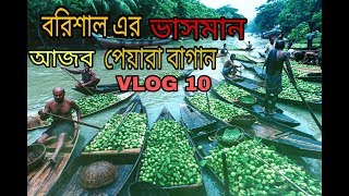 পেয়ারা বাগান বরিশাল  PEYARA BAGAN BARISAL VLOG 10 AJ RAKIB Video 2019 [upl. by Shaeffer920]