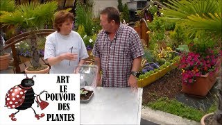 JardinageAstuce miniserre comment faire une miniserre [upl. by Esnohpla]