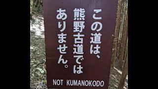 山天集落現地確認番外編 腐った竹を掴んでしまい5m下の段差に滑落しそうになるやおや氏 [upl. by Prisca]