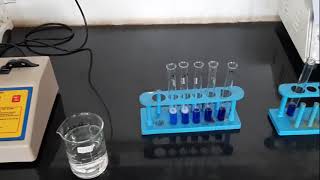 Estimation of Protein by Biuret Method [upl. by Corvese481]